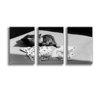 IADNG Poster sur toile Motif chaton et cartes 60 x 90 cm