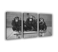 IADNG Poster sur toile Singe de la sagesse 50 x 75 cm