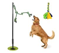 IAIGOGO Jouet d'extérieur à tirer pour chien, jouet interactif pour chien avec corde à mâcher, bâton d'exercice avec kit de ressort en métal pour chiens de taille moyenne et grande pour faire de