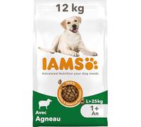 IAMS Advanced Nutrition pour Chien Adulte de Grande Race 1 an + - Croquettes 100% Complètes & Equilibrées à l’Agneau - sans Blé - sans OGM colorants arômes artificiels - Sac refermable 12 kg