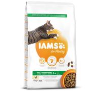 IAMS Cat Adult Chicken 10 kg