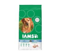 Iams Croquettes Au Poulet - Grande Race - 3kg - Pour Chien