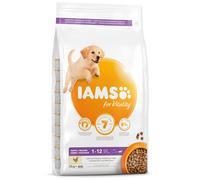 IAMS Dog Puppy Large Chicken 3 kg
