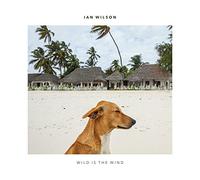 Ian Wilson - Wild is The Wind [Import]