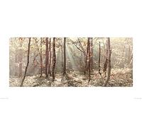 Ian Winstanley (Autumn Leaves 50 x 100 cm Toile Imprimée