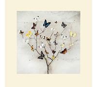 Ian Winstanley (Tree of Butterflies 40 x 40 cm montée d'impression