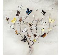 Ian Winstanley (Tree of Butterflies 40 x 40 cm Toile Imprimée