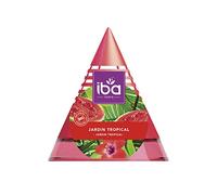 Iba Désodorisant d'Ambiance Mèche Jardin Tropical 75 ml - Lot de 2