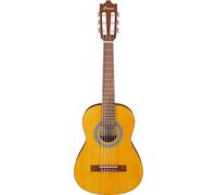 Ibanez Acoustic guitar / GA1OAM Standard