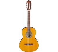 Ibanez Acoustic guitar / GA2OAM Standard