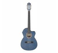 Ibanez Acoustic guitar / GA5FMTCEOB Standard