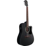Ibanez Acoustic Guitar / V44CEWK