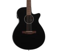 Ibanez AEG50-BK Guitare folk Noir