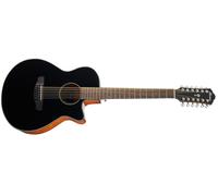 Ibanez AEG5012H Black