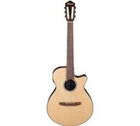 Ibanez Ibanez AEG50N-NT Nylon