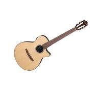 Ibanez Ibanez AEG50N-NT Nylon