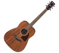 Ibanez AW54OPN Artwood Guitare acoustique dreadnought - Open Pore Natural