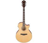 Ibanez Ibanez AE170-NTR