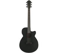 Ibanez Ibanez AEG621-BOT