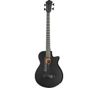 Ibanez Ibanez AEGB420-BOT