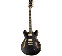Ibanez JSM20 Black Low Gloss John Scofield Signature guitare hollow body avec étui