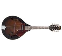 M510E-DVS Dark Violin Sunburst
