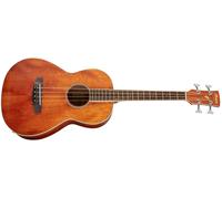 Ibanez PNB14E-OPN Open Pore Natural - Basse Acoustique