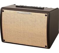 Ibanez T30II Combo pour instruments acoustiques-électriques