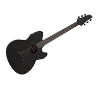 Ibanez TCY621 Black Out