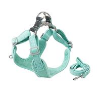 ibasenice 1 Ensemble Harnais Ajustable et Laisse Portable pour Chiens Ensemble de XXS Conception Résistante et Pratique pour Promenade Sécurisée des Chiens de Petite