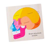 ibasenice 1 Ensemble Puzzle De Structure Cérébrale Apprentissage du Corps Humain Jouet Cerveau Humain Puzzle Cerveau Humain Puzzle De Sol Cheville De Corps Puzzle Cerveau Anatomie Organes