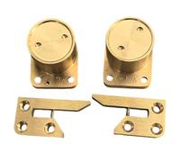 ibasenice 1 Paire de dispositifs de Fermeture amortie hydrauliques pour Piano, Amortisseur de Couvercle à charnière Double Face pour Clavier Droit, mécanisme de Fermeture Silencieux et Fluide pour