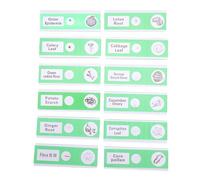 ibasenice 12 pièces Lames de Microscope Préparées Échantillons Végétaux Plastique sans Risque pour Garçon Fille Science Biologique Éducation