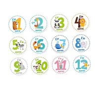 ibasenice 12pièces Autocollants De Mois Pour Décalcomanies Animaux Cartoons Pour De Pour Photos De Naissance Et Anniversaire