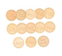 ibasenice 13pièces De Pour Plaques Rondes De Jalons Mensuels Et Anniversaire Pour Capturer