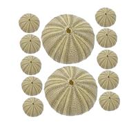 ibasenice 18pièces Kit de Décoration pour Aquarium avec Coquillages Oursins Ornements Naturels pour Aquariophilie Supports pour Plantes Aériennes