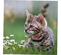 ibasenice 2 pièces Collier Chat Ajustable avec Nœud et Clochette Sécurité Réglable pour Petits Animaux Décor Mignon et