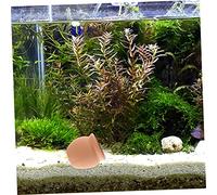 ibasenice 2 Pièces Décor Aquarium Argile Cachette pour Poissons et Crevettes Ornements Réalistes pour Aquarium Eau Douce Paysage Naturel et Refuge Sécurisé