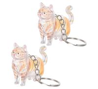 ibasenice 2 Pièces Porte-clés Souvenir pour Poils D’Animaux Chat, Boîte