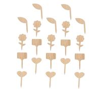 ibasenice 20 pièces Étiquettes de Jardinage Naturel Marques Plantes Formes Variées T Cœur Fleur Accessoires pour Identifier Semis et Fleurs