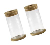 ibasenice 2ensembles Vase Verre Transparent pour Plantes Contenant De Décoration Étagère Pot De Fleurs pour Composition