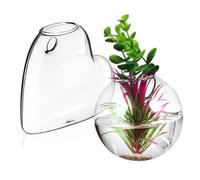 ibasenice 2Pièces Jardinières Murales Haut Borosilicaté Lot de Vases Hydroponiques Décoratifs pour Plantes Support Mural pour Terrarium et Aquarium Installation Facile et