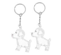 ibasenice 2pièces Porte-clés Commémoratif pour Chien avec Poils Coffret Souvenir pour Animaux Breloque Forme De Flacon pour Garde De Souvenirs