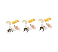 ibasenice 3 Ensembles Modèle Affichage Abeille Jeu Cognitif Garçon Fille Kit Cycle de Vie Éducatif
