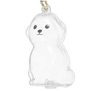 ibasenice 4 pièces Boîte Commémorative Transparente pour Poils Animaux Porte-clés et Compact Souvenir pour Chien et Chat Sentimental Pratique
