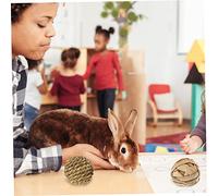 ibasenice 4 Pièces Jouets Lapin Nain Tissées Paille Naturelle pour Rongeurs Jeu de Mâcher Stimulent Lactivité et Soignent Dents des Petits Animaux