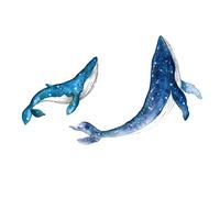 ibasenice 4ensembles Autocollants Muraux Garçon Fille Étoiles Et Baleines Pour Décoration Chambre Et Salon Stickers Adhésifs Réalistes Pour Filles Et Garçons