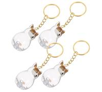 ibasenice 4pièces Boîte de Rangement pour Poils de Chien Porte-clés Commémoratif Poils Animal Flacon de Collecte pour Souvenirs de Pelage