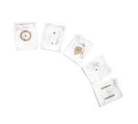 ibasenice 5 Ensembles Dispositif de Démonstration de Champ Magnétique, Boîte à Limaille de Fer, Plastique et Fer, pour Enseignement de Physique en Classe, Résultats Fiables et Répétables