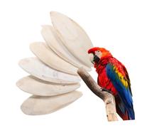 ibasenice 6pièces Os De Seiche pour Oiseaux Jouets à Mâcher pour Bec Oiseau Nourriture Naturelle Riche Calcium Accessoires pour Cage De Perroquets Et